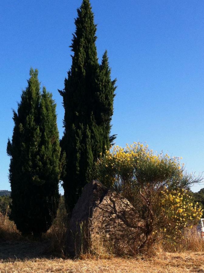 Villa De Vacances Au Calme Proche De La Mer La Londe-les-Maures Exteriér fotografie